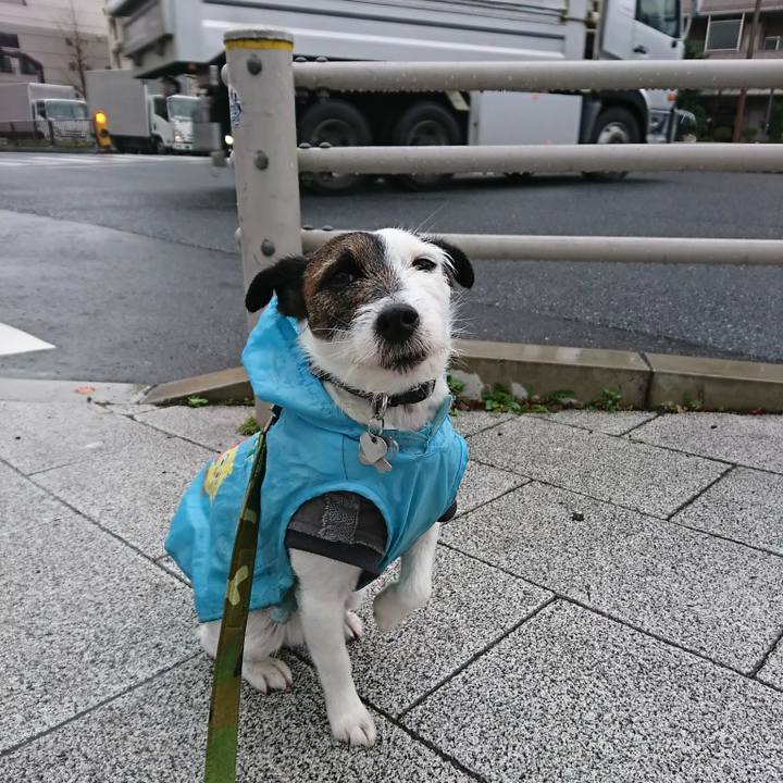 F605f0fc 2ca8 4fe8 8527 0cf902ce9483 1520467982501