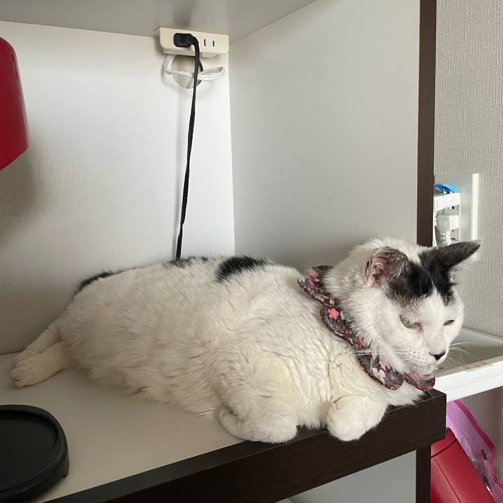 F60600ff 5a1e 4f68 b157 2990ea27593b 1685836617511