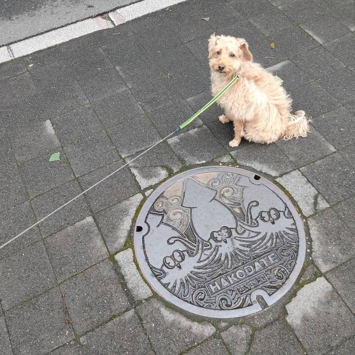 F6064d56 ddb1 45b2 83b0 8bccab41fa24 1603580266528