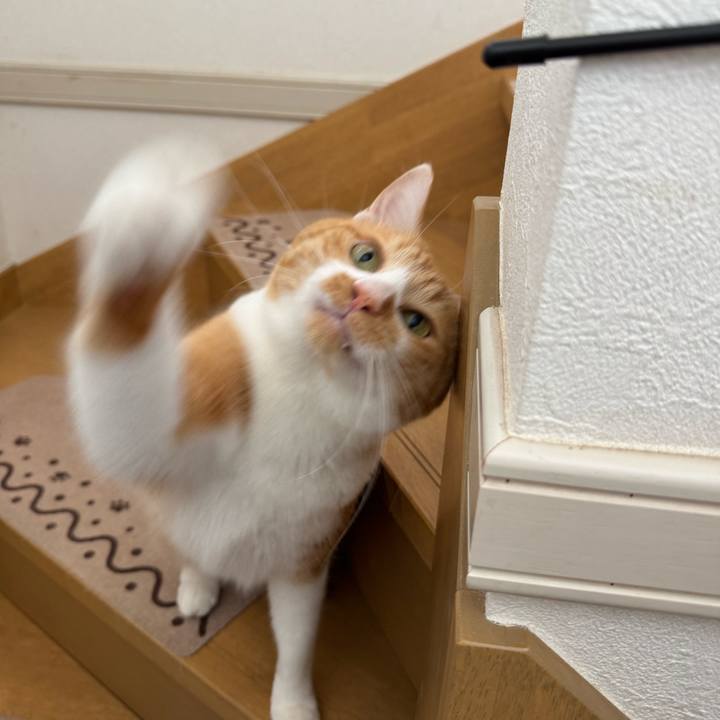 F60669d1 d087 4c09 8f90 7731afa0e523 1759372070668