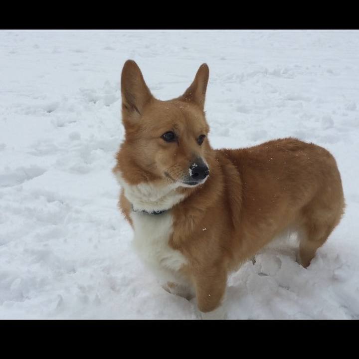 F60691d4 d41a 4c8f 85ca 59456681143d 1508131203575