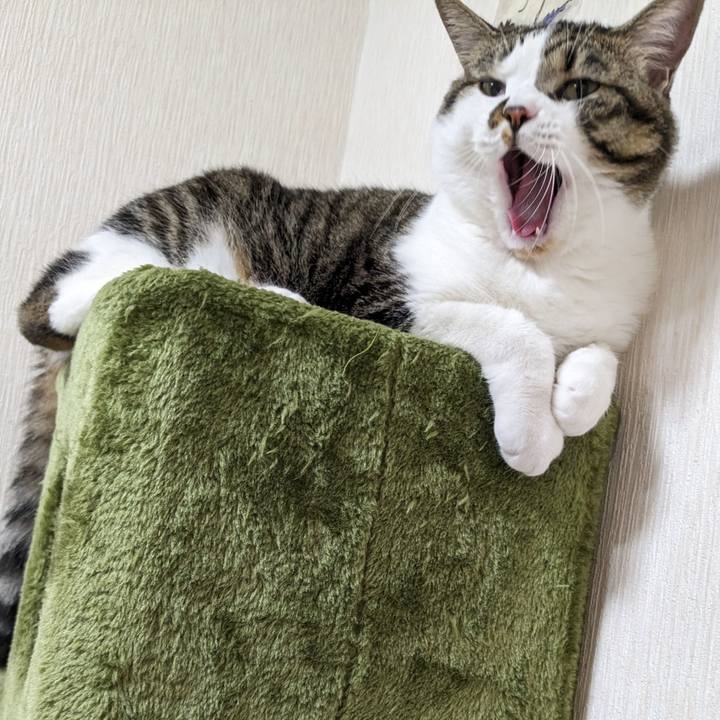 F606abb3 e563 4528 97ee f99feca44711 1692071214379