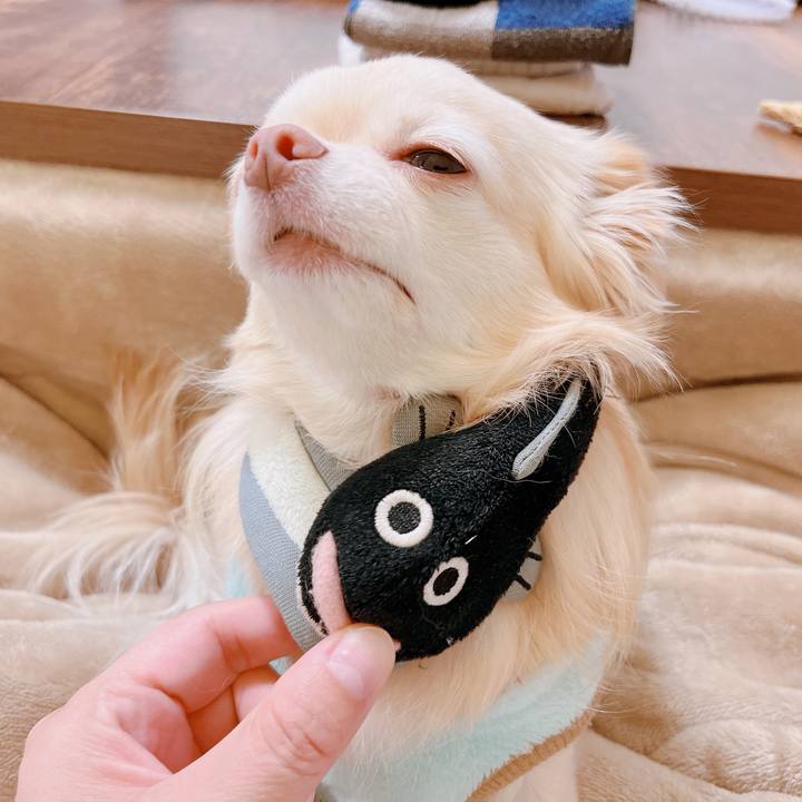 F606c902 22bf 4662 9858 3502e5a136bf 1671699820105