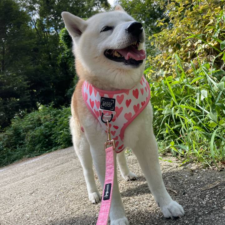 F606c9d0 1254 4306 a1c1 5494c8850105 1660388157792