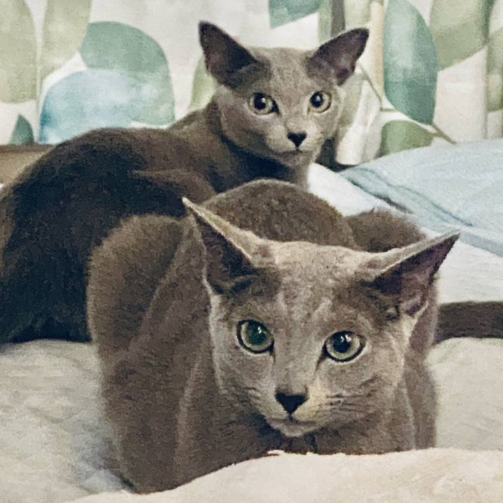 F606e310 e690 47b1 8fc0 b328a80f7fb9 1636326050564