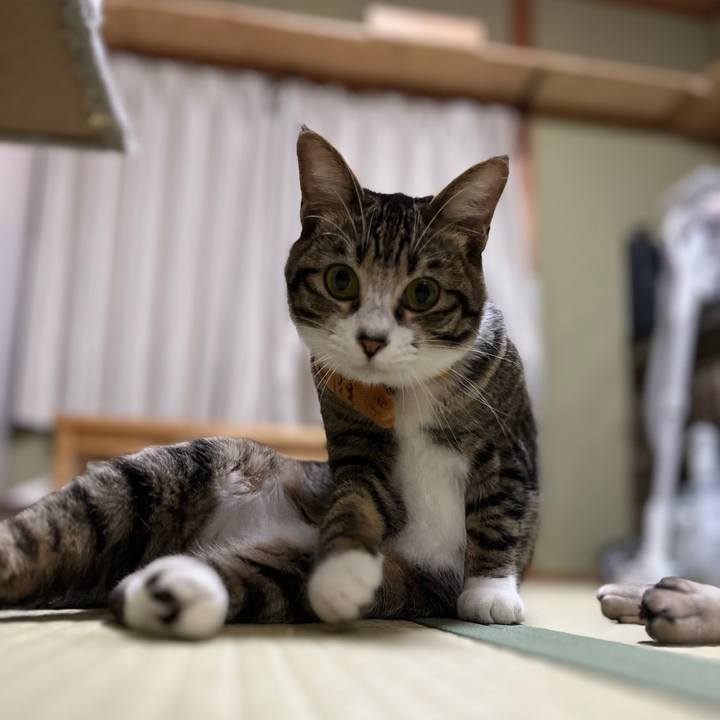 F606eae9 f03e 4ca1 831a c48f53f56209 1725363000449