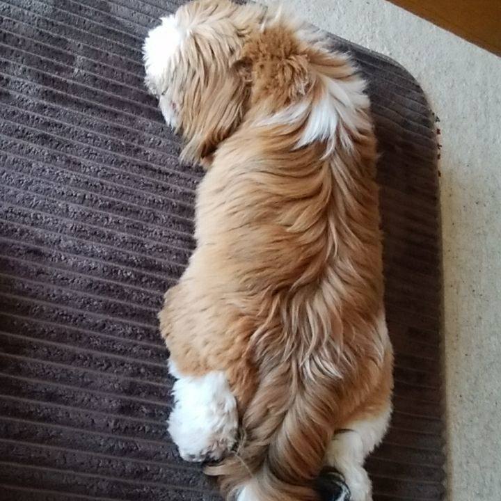 F606f045 76e5 4c6a ba82 0448f6eec543 1555227838323