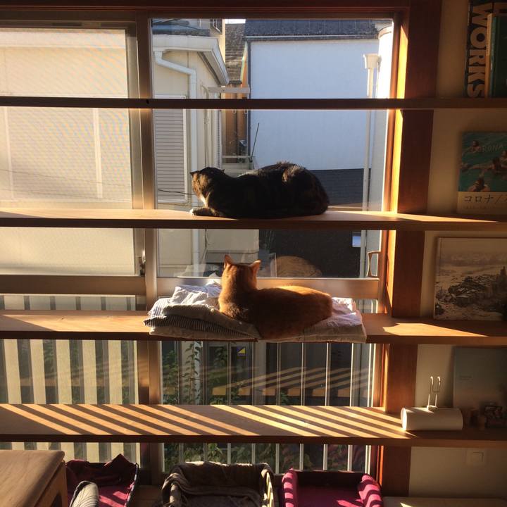 F606fff8 07ff 4a71 abb5 0a9317113b87 1510182362454