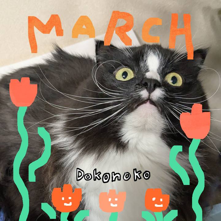 F6072423 b266 4d4b b113 95ac5564f509 1741561106892