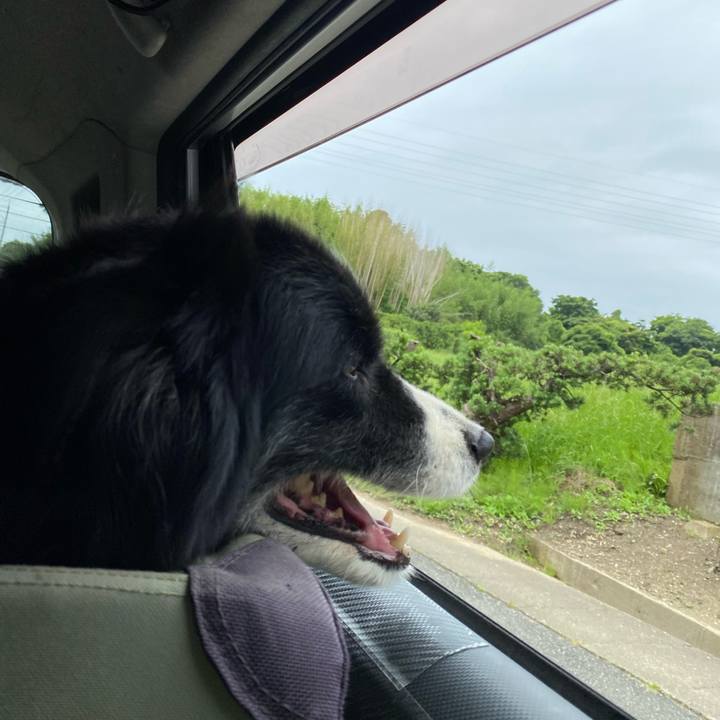 F6072e9f fa60 4b41 b6c0 47402e76f94f 1685585163300