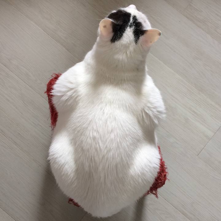 F6073557 cf23 46ce 9158 c48b9bfe1dc3 1542054643699