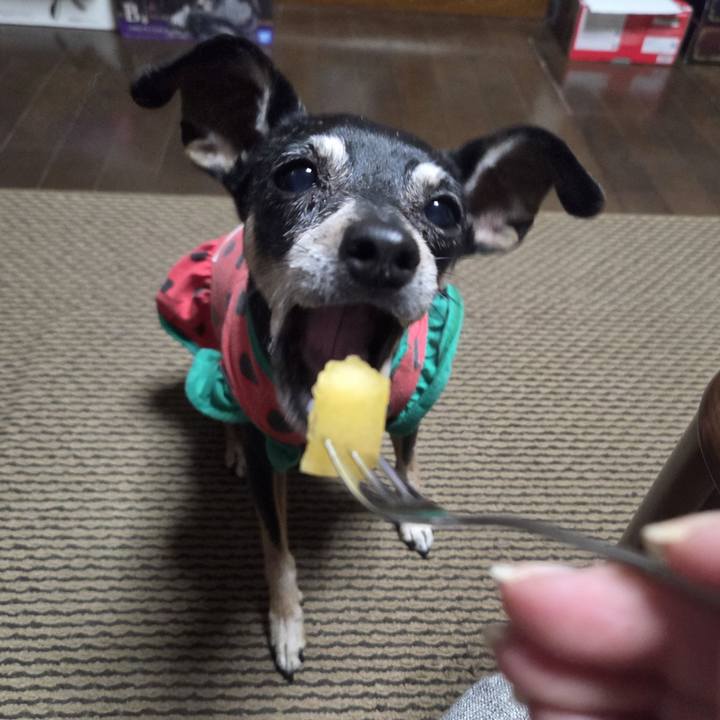 F607380c 4091 43ac aa7c 45e5ac63fb60 1753953873789