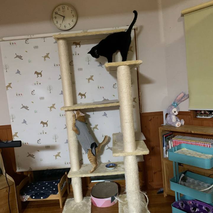 F60747dd 6f14 4a52 bc12 1225e01446ce 1639134722996