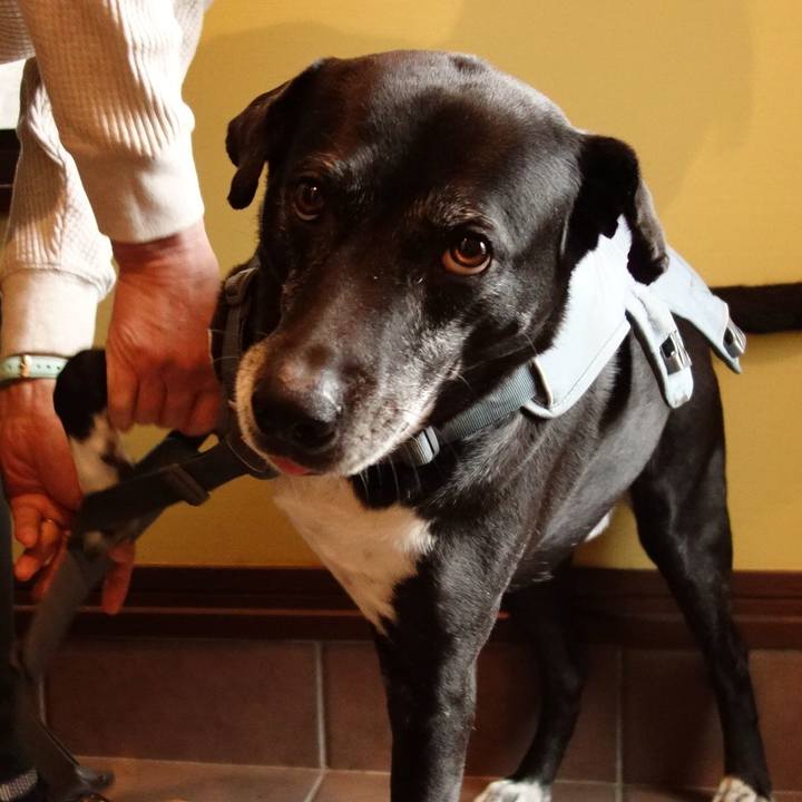 F60759ae 3539 4e87 bdde c248d3e68327 1741913605682