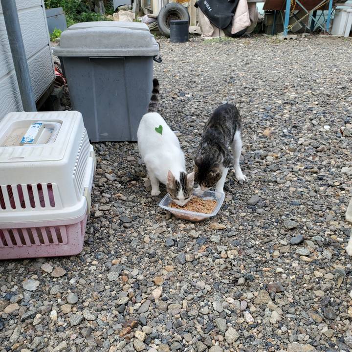 F6078ff7 cf5d 4c46 b781 2d7bf2d5510a 1694264556972