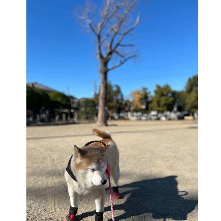 F607d4f8 a635 4790 abde 215e27487bc0 1734407582899