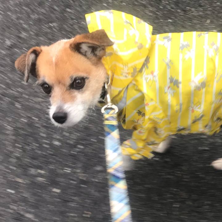 F60833b1 de71 4df3 a1de 7b3ab145d807 1551682672330