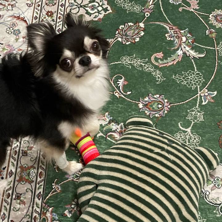 F60843d2 9823 4f3f a511 069618f09f0a 1659191663375