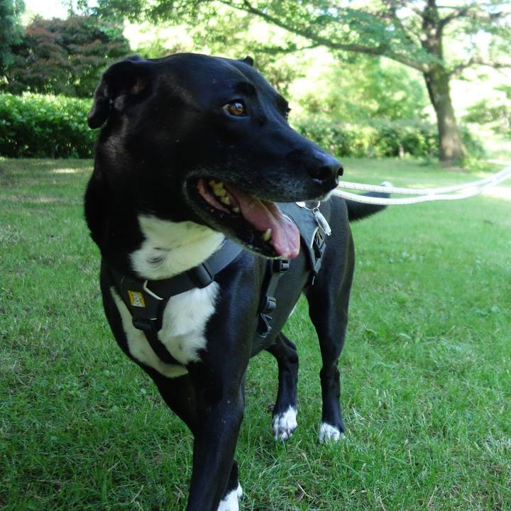 F6086ac1 34e9 4731 896c dd21e5ed954f 1653784811966