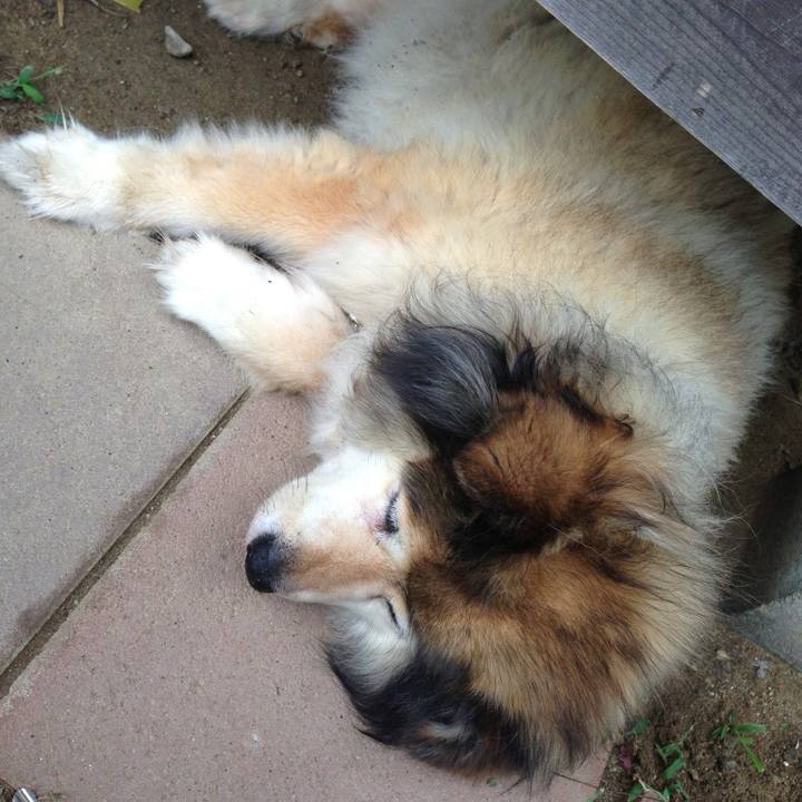 F6087bb3 f086 4e0e a6e8 a3963c3f4feb 1610077731200