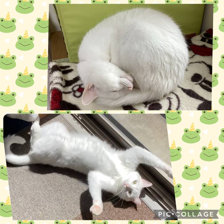 F6089986 1bb5 4b4f b6a6 d29f73452f50 1748132484367