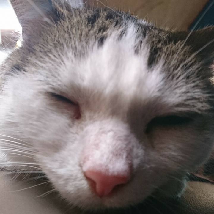 F608aa34 e6f0 4315 8780 2db242853b29 1563597715992