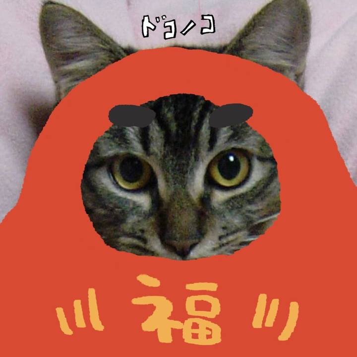 F608ba27 207f 4ee0 933f 80eca86383c9 1771822181901