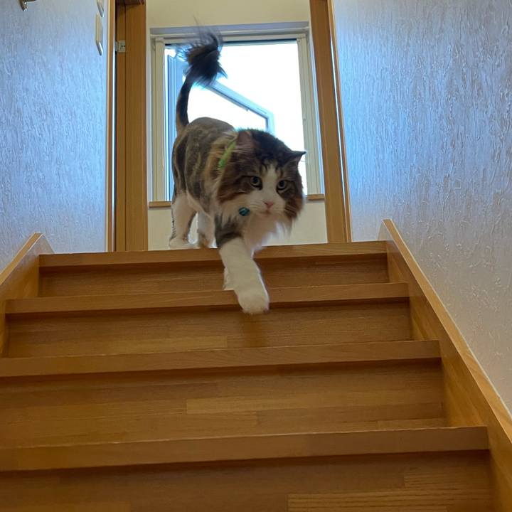 F608d599 745b 40a4 98fc 5c9c18523bb0 1723928730258