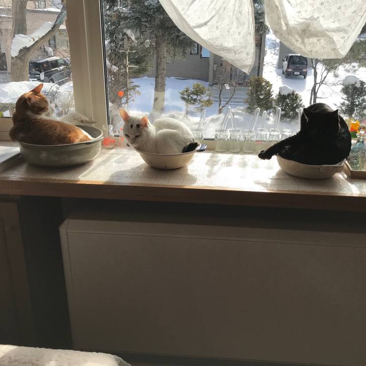 F6090483 8f2a 4342 bdf5 945da71e0770 1581382214123