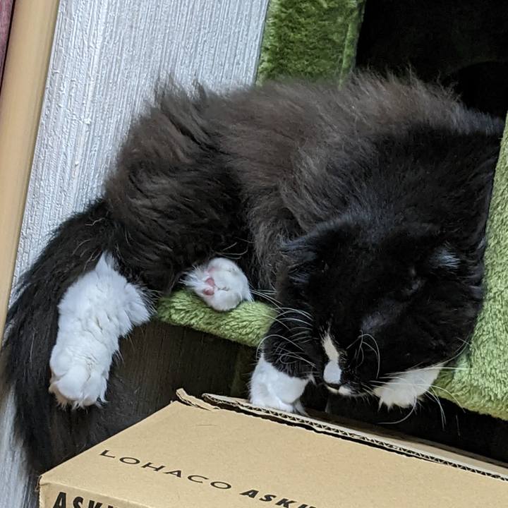 F60904e0 0f1a 4154 801b 6a5f37290353 1668869566360