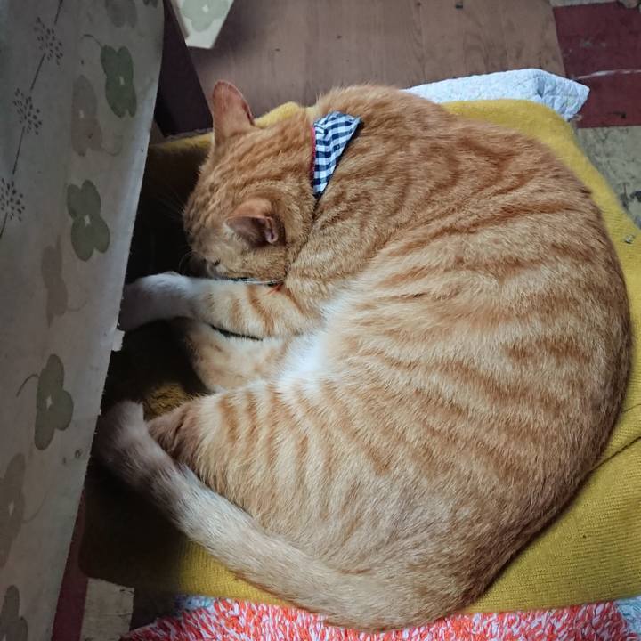 F6090d05 330a 4438 a2b6 6091422f9be1 1570230210656