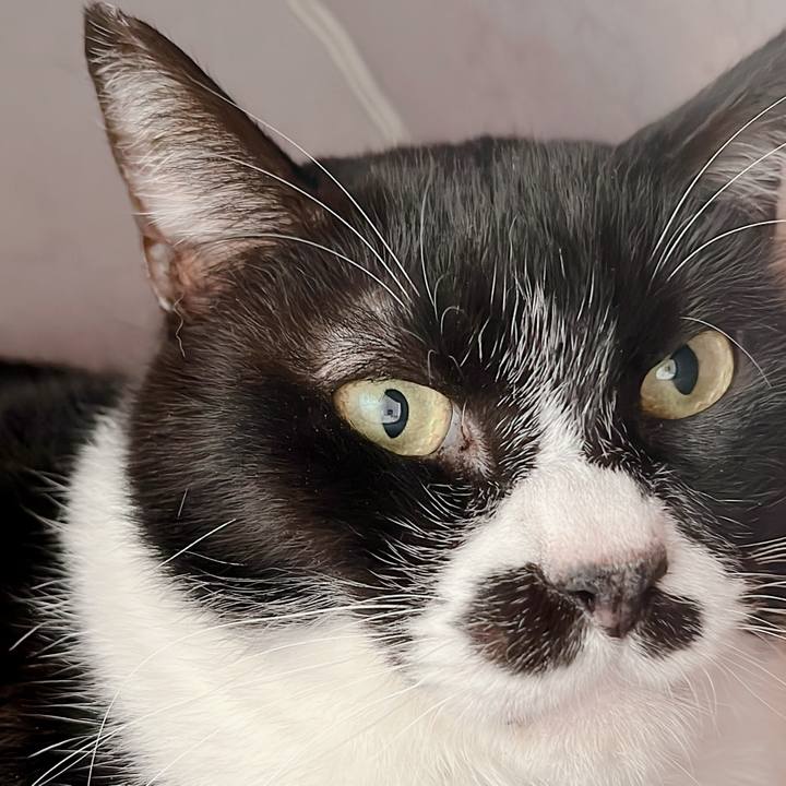 F60931e1 4ee1 40f5 9c30 6a4c715a97a1 1670648114061