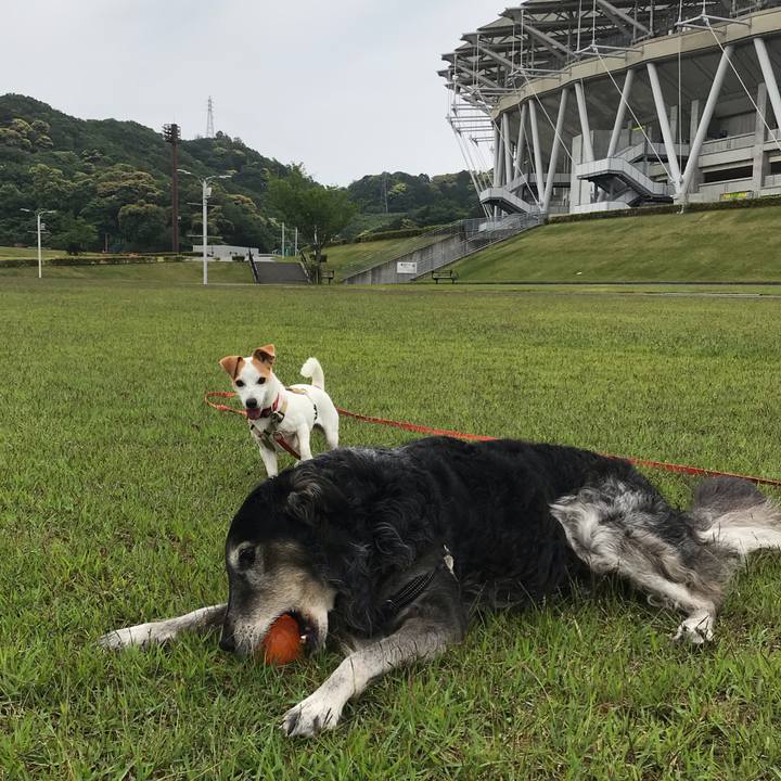 F609475d ec90 4c4a a7bd 4341d7434455 1589809226797