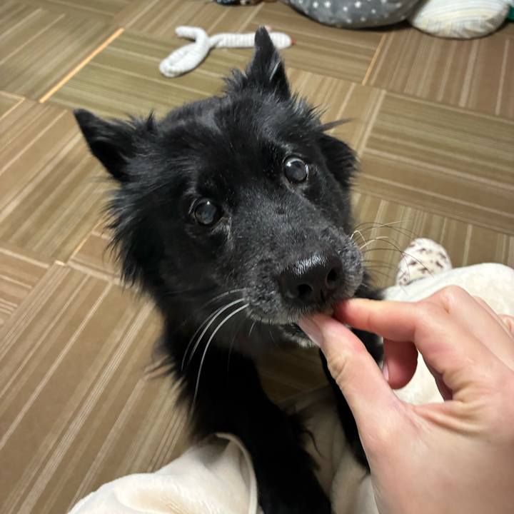 F6094cef 9016 4889 8503 8799b1105e8f 1767656942108