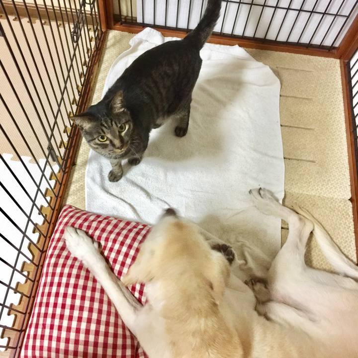 F609570e a111 4f68 acc9 231a73ba511e 1542633146280