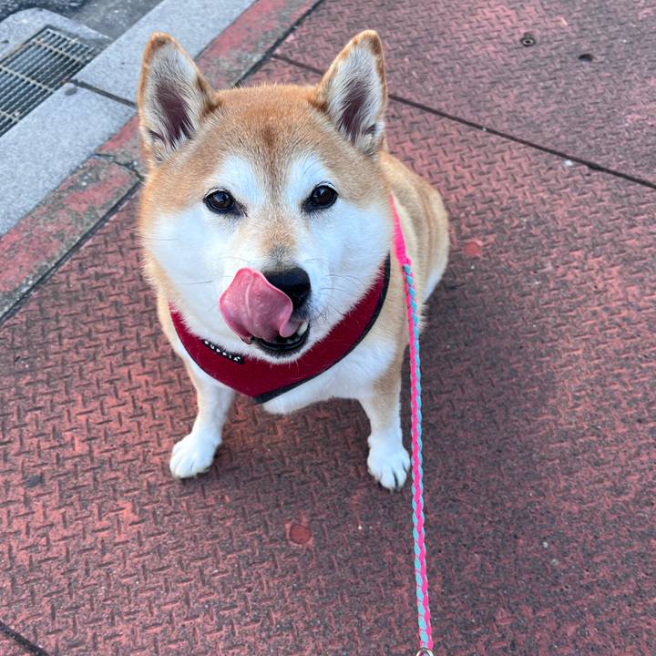 F609938c fcc6 4e15 a9a3 c39ec1aa6056 1701495505808