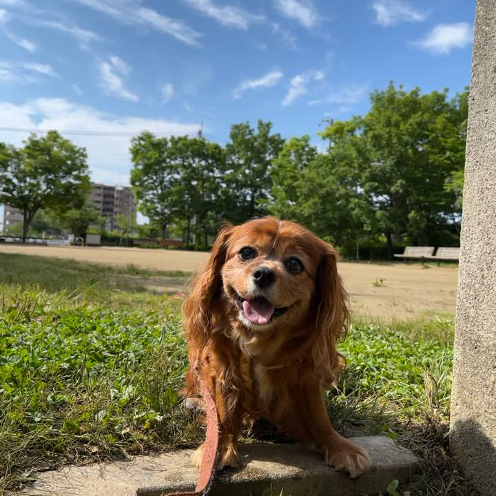 F609ac16 2fa3 44d3 997c f5e8f2abf6fa 1717201648703