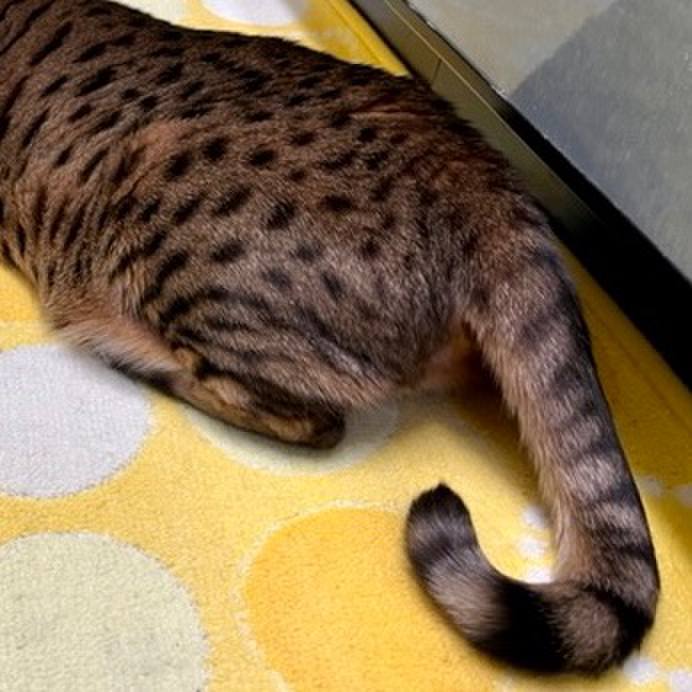 F609d361 e1a9 4f02 a3cb dffc6d675260 1667977471349