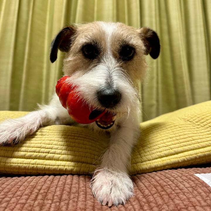 F609e232 e0a1 41c2 9baa 00acfad4f85d 1739452999590