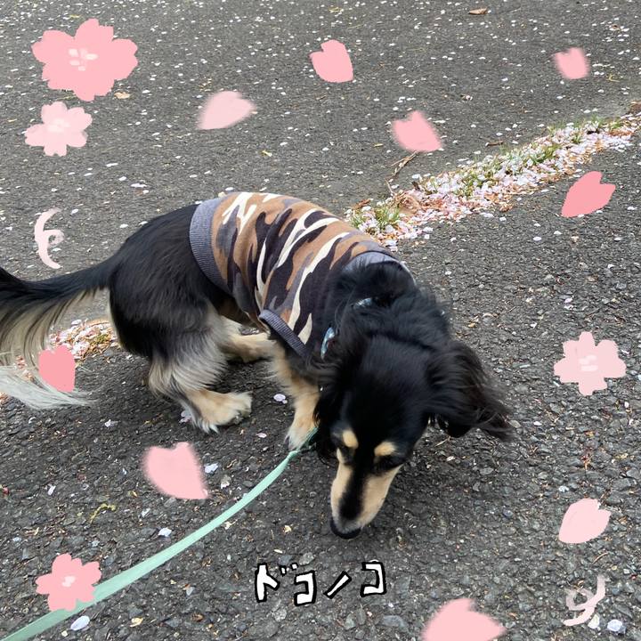 F60a0d03 d007 4b18 a349 ecc87c7f03d8 1744271027787