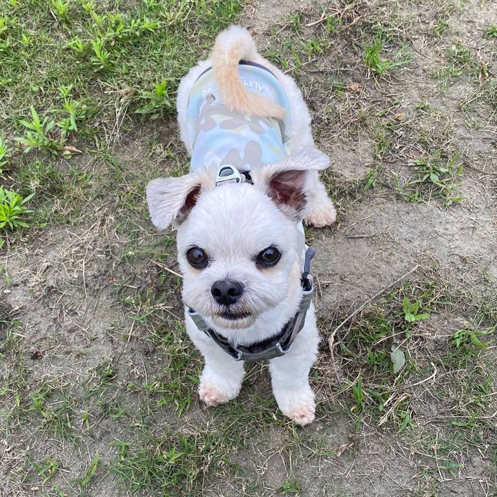 F60a49aa d771 4c81 8a79 ce1d78d3c3fb 1653106807535