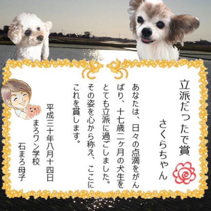 F60a4a25 090f 40bd 8a43 25c1f658228a 1534222646500