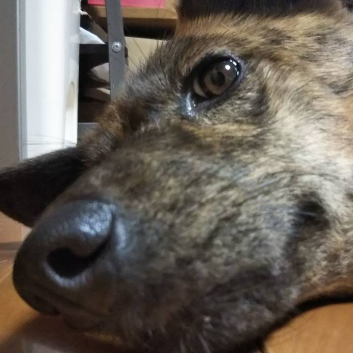 F60ab816 5725 482b b993 7f43e64b157a 1530014491306