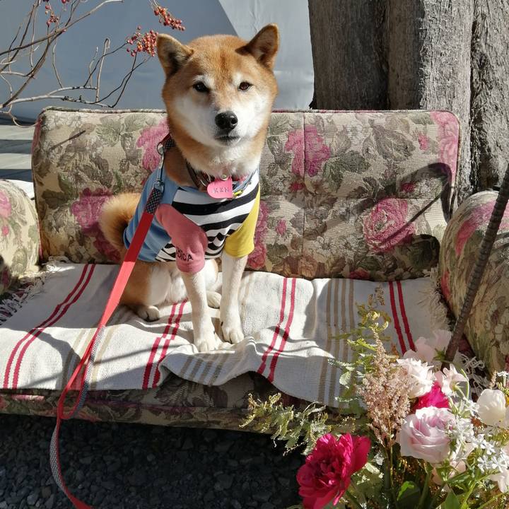 F60adb04 3d94 456c 84e6 285b4ecbc9d2 1675738671952