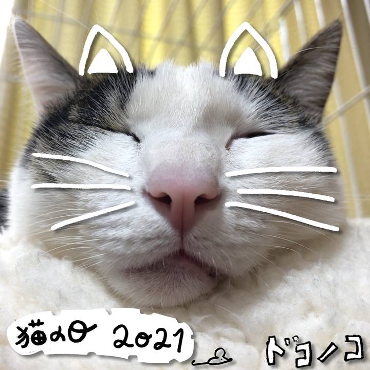 F60ae0d9 0e60 4832 be8e d86b64f8aa56 1613978976810