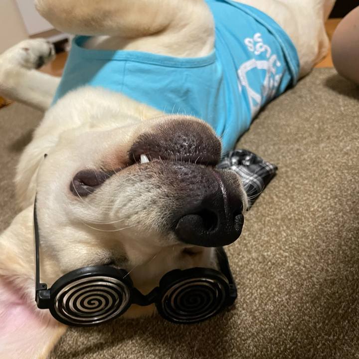 F60b188b e8bf 48fb 8f94 e7263ba2c011 1625147033343