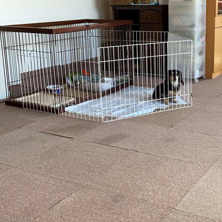 F60b3242 c90b 45f4 bb7a 0b54165be5f1 1739337625635