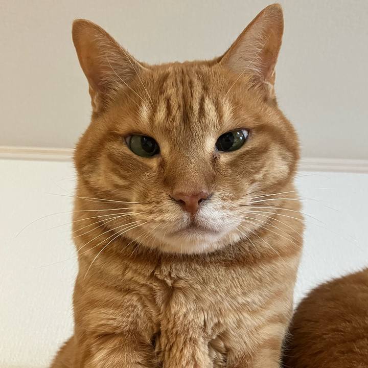 F60b46dd 48fa 4ab3 8ae1 8837364c6c7c 1763772304978