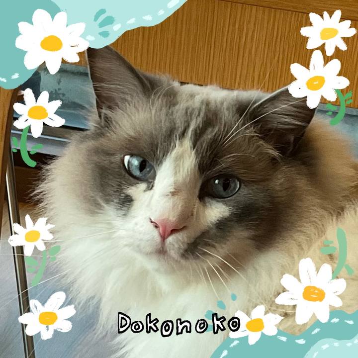 F60b5249 2171 4729 8e8a c442ec5f2116 1712483925953