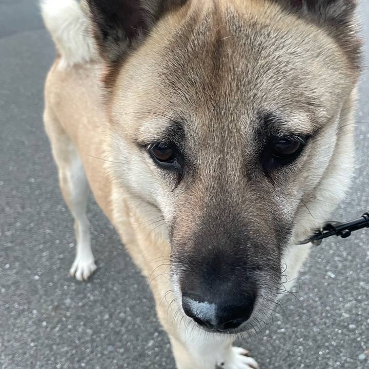 F60b6f07 f092 4d19 9462 a89629cfeb12 1681214715715